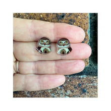 Load image into Gallery viewer, Barking Owl Studs