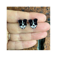 Load image into Gallery viewer, Border Collie Studs