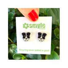 Load image into Gallery viewer, Border Collie Studs