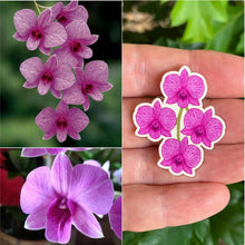 Load image into Gallery viewer, Cooktown Orchid Pin - Floral Emblem of Queensland