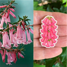 Load image into Gallery viewer, Common Heath Pin - Floral Emblem of Victoria