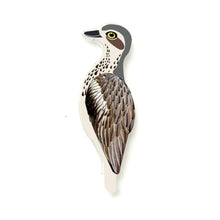 Load image into Gallery viewer, Bush Stone Curlew Pin