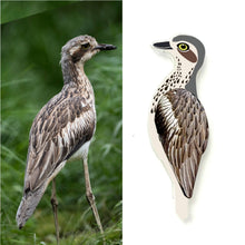 Load image into Gallery viewer, Bush Stone Curlew Pin