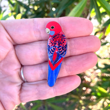 Load image into Gallery viewer, Crimson Rosella Pin
