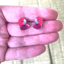 Load image into Gallery viewer, Crimson Rosella Studs