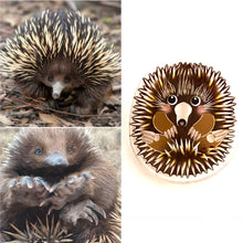 Load image into Gallery viewer, Echidna Pin