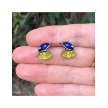 Load image into Gallery viewer, Blue-Faced Honeyeater Studs