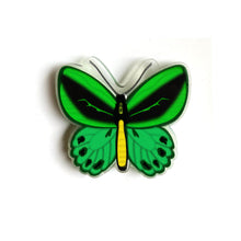 Load image into Gallery viewer, Richmond Birdwing Pin