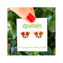 Load image into Gallery viewer, Jack Russell Terrier Studs