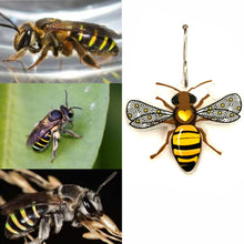 Load image into Gallery viewer, Native Bee Earrings