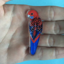 Load image into Gallery viewer, Crimson Rosella Pin