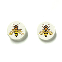 Load image into Gallery viewer, Native Bee Studs
