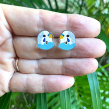 Load image into Gallery viewer, Blue Budgie Studs
