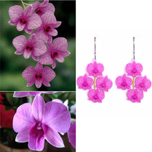 Load image into Gallery viewer, Cooktown Orchid Earrings - Floral Emblem of Queensland
