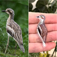 Load image into Gallery viewer, Bush Stone Curlew Pin
