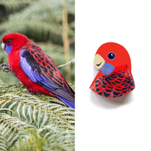 Load image into Gallery viewer, Crimson Rosella Studs
