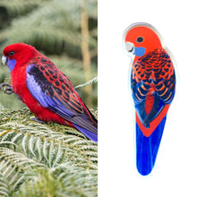 Load image into Gallery viewer, Crimson Rosella Pin
