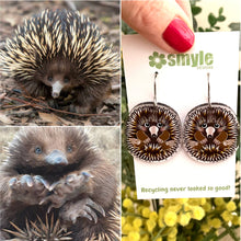 Load image into Gallery viewer, Echidna Earrings
