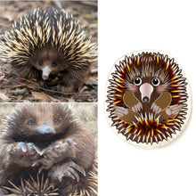 Load image into Gallery viewer, Echidna Pin
