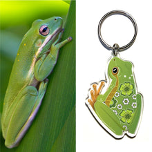 Load image into Gallery viewer, Green Tree Frog Keyring

