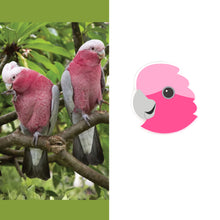 Load image into Gallery viewer, Galah Studs
