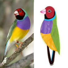 Load image into Gallery viewer, Gouldian Finch Pin
