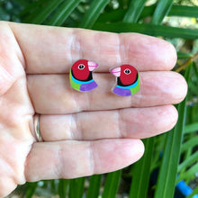 Load image into Gallery viewer, Gouldian Finch Studs
