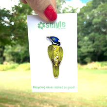 Load image into Gallery viewer, Blue-Faced Honeyeater Pin
