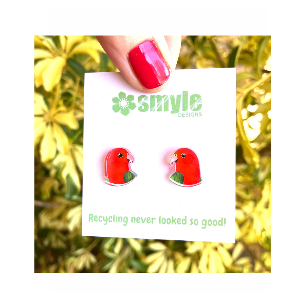 King Parrot Studs