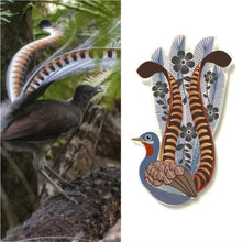 Load image into Gallery viewer, Superb Lyrebird Pin
