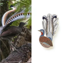 Load image into Gallery viewer, Superb Lyrebird Studs
