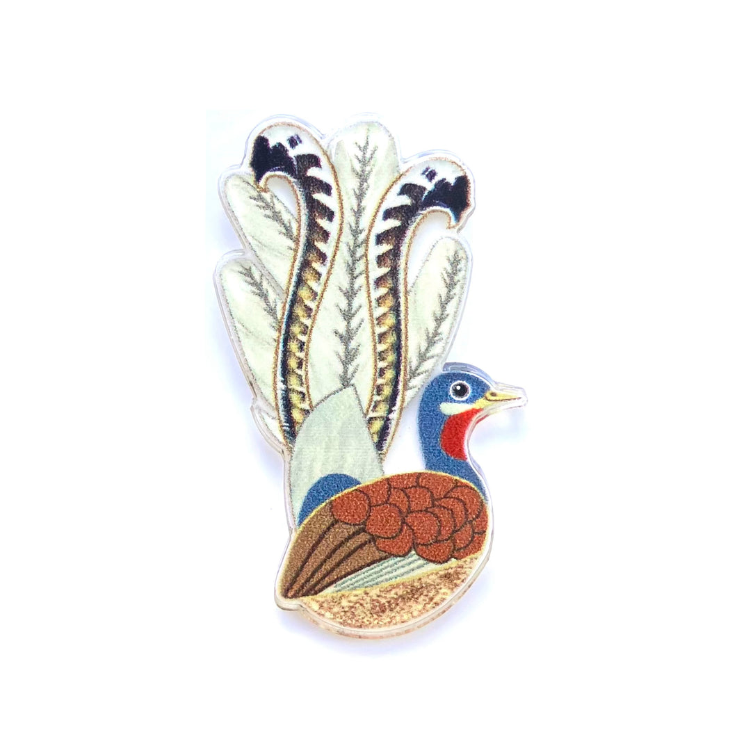 Superb Lyrebird Pin