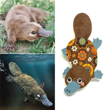 Load image into Gallery viewer, Platypus Pin
