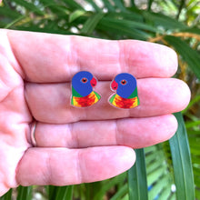Load image into Gallery viewer, Rainbow Lorikeet Studs
