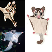 Load image into Gallery viewer, Sugar Glider Pin
