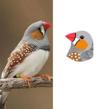 Load image into Gallery viewer, Zebra Finch Studs
