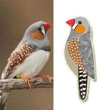 Load image into Gallery viewer, Zebra Finch Pin
