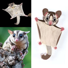 Load image into Gallery viewer, Sugar Glider Studs

