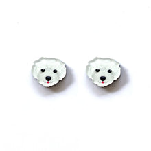 Load image into Gallery viewer, Maltese Poodle Studs
