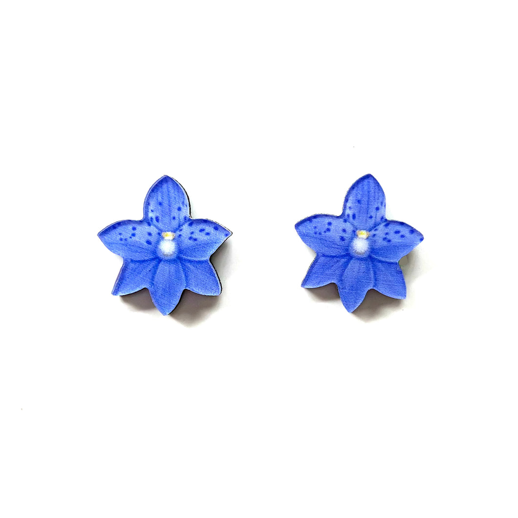 Spotted Sun Orchid Studs
